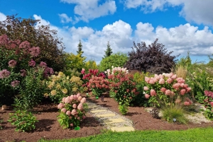 Fra Riga: Halvdagstur til Vidzeme-kysten med lunsj