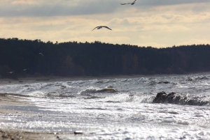 Fra Riga: Halvdagstur til Vidzeme-kysten med lunsj