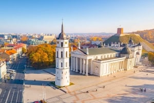 De Vilnius: transfert privé à Riga avec visite touristique