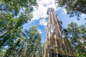 Día completo en Jurmala y el Parque Nacional Kemeri