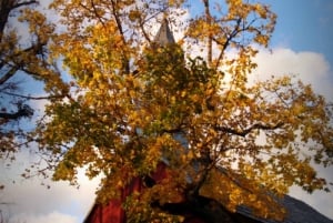 Gorgeous Golden Autumn in Sigulda