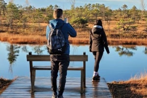 Groot Ķemeri veen & moerasbos wandelavontuur