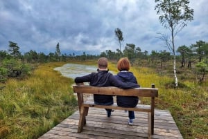 Aventure de randonnée dans la tourbière et la forêt marécageuse de Great Ķemeri