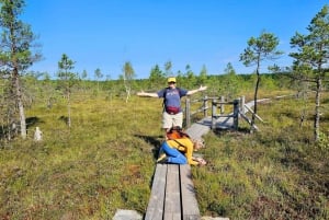 Aventure de randonnée dans la tourbière et la forêt marécageuse de Great Ķemeri