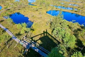 Grande aventura de caminhada no pântano e na floresta pantanosa de Ķemeri