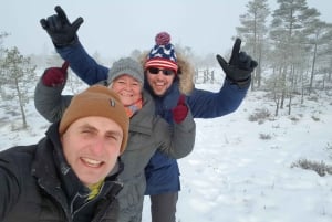 Aventure de randonnée dans la tourbière et la forêt marécageuse de Great Ķemeri