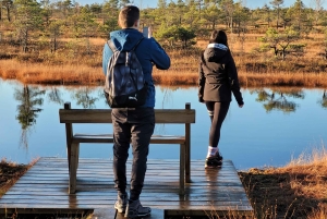 Suuri Ķemeri Suo & Suometsä vaellus seikkailu