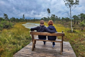 Suuri Ķemeri Suo & Suometsä vaellus seikkailu