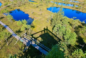 Suuri Ķemeri Suo & Suometsä vaellus seikkailu