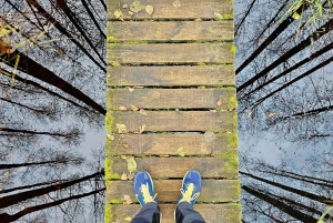 Suuri Ķemeri Suo & Suometsä vaellus seikkailu