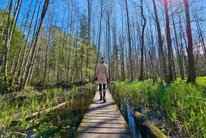 Suuri Ķemeri Suo & Suometsä vaellus seikkailu