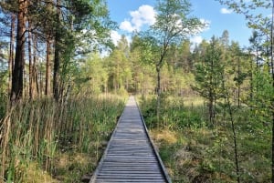 Guided a walking day trip. The best hiking trails in Latvia