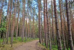 Guided a walking day trip. The best hiking trails in Latvia