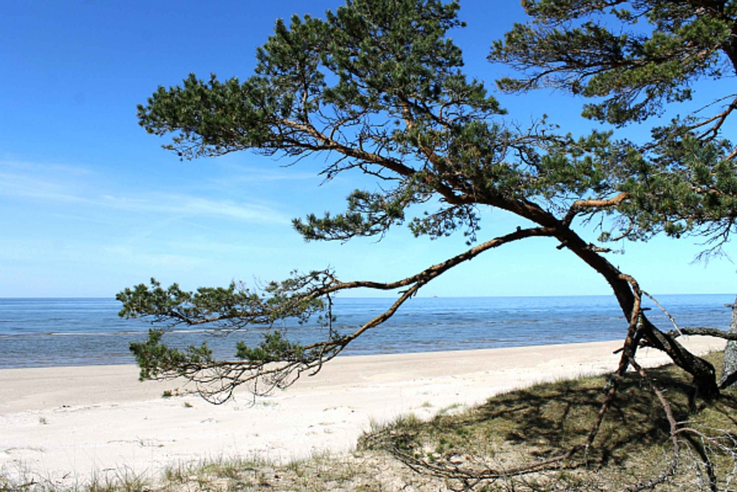 Health boosting tour to Baltic sea-from Riga to Mazirbe.