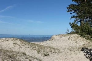 Excursión saludable por el mar Báltico: de Riga a Mazirbe.