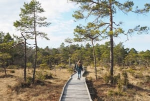 Health boosting tour to Baltic sea-from Riga to Mazirbe.