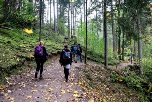 Wanderung im Gauja-Nationalpark - Sigulda