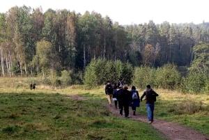 Wanderung im Gauja-Nationalpark - Sigulda
