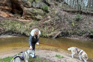 Riga: Husky Hike in the Nature Trail