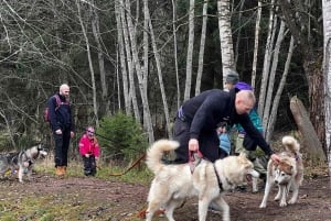 Riga: Husky Hike in the Nature Trail