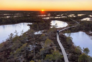 Jurmala: Excursión al atardecer al Parque Nacional de Kemeri