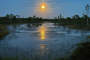 Jurmala: Excursión al atardecer al Parque Nacional de Kemeri