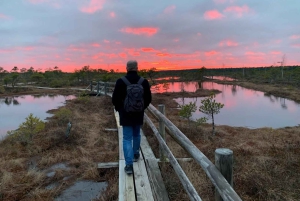 Jurmala: Excursión al atardecer al Parque Nacional de Kemeri