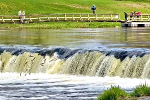 Jurmala,Kuldiga,Ragaciemsin ranta, Kemeri N puisto, Ruoka ja juoma