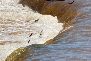 Jurmala,Kuldiga,Ragaciemsin ranta, Kemeri N puisto, Ruoka ja juoma