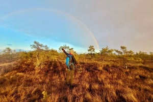 Ķemeri Bogs Adventure: Explore Wetlands In Bog Shoes