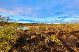 Ķemeri Bogs Adventure: Explore Wetlands In Bog Shoes