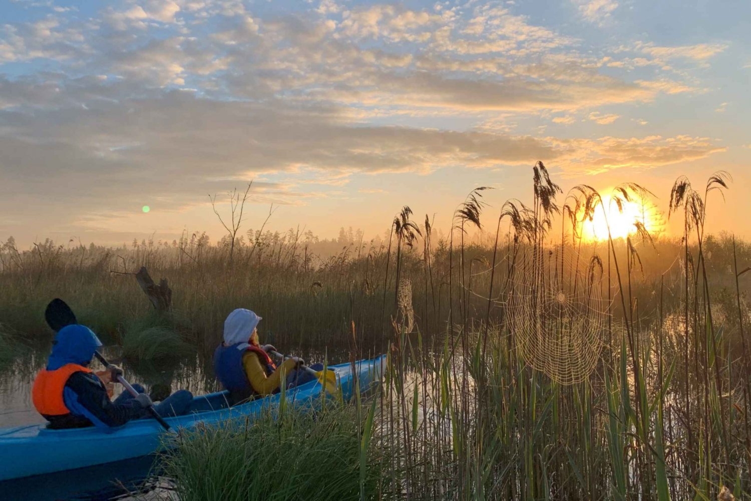 Riga : Excursion en kayak au lever du soleil avec prise en charge, marais de Kemeri