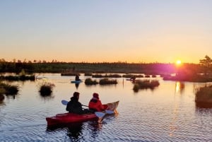 Riga : Excursion en kayak au lever du soleil avec prise en charge, marais de Kemeri