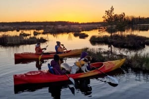 Riga: Excursión en kayak al amanecer con servicio de recogida, pantano de Kemeri