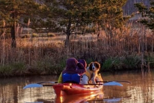 Riga: Excursión en kayak al amanecer con servicio de recogida, pantano de Kemeri