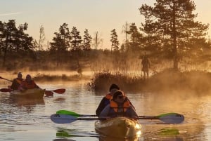 Riga: Passeio de caiaque ao nascer do sol com serviço de busca, pântano de Kemeri