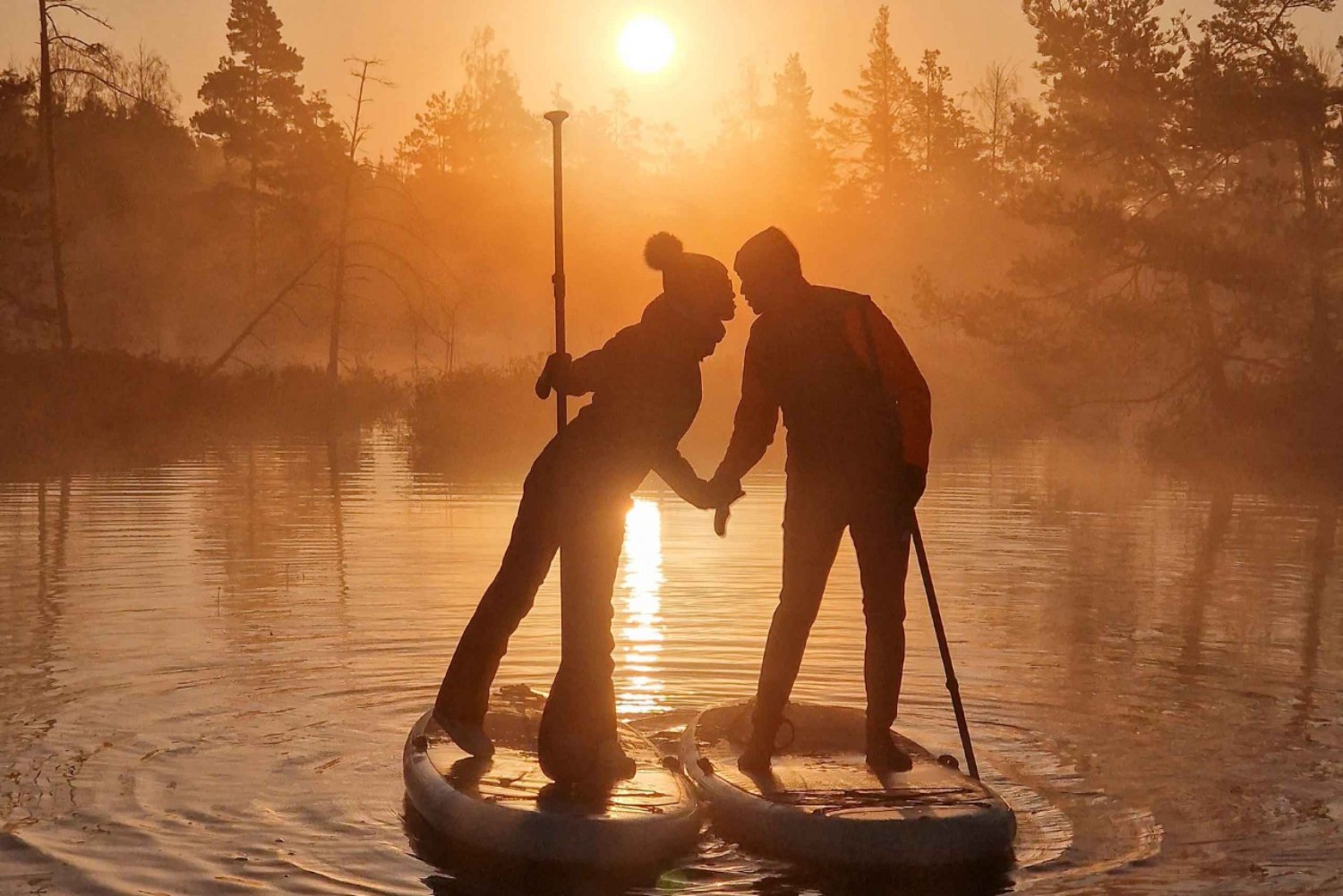 Riga: Passeio de paddle board ao nascer do sol com serviço de busca, pântano de Kemeri