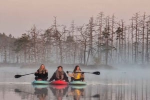 Riga: Excursión en tabla de paddle al amanecer con servicio de recogida, pantano de Kemeri