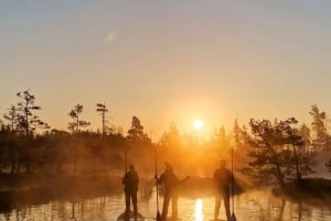 Riga: Passeio de paddle board ao nascer do sol com serviço de busca, pântano de Kemeri