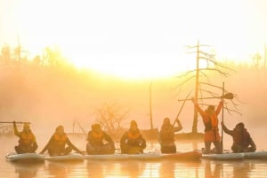 Riga: Sunrise paddle board tour with pick-up, Kemeri bog