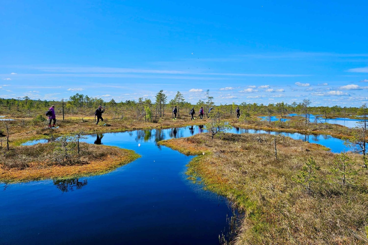 Ķemeri Bogs Adventure: Utforsk våtmarksområder i myrsko