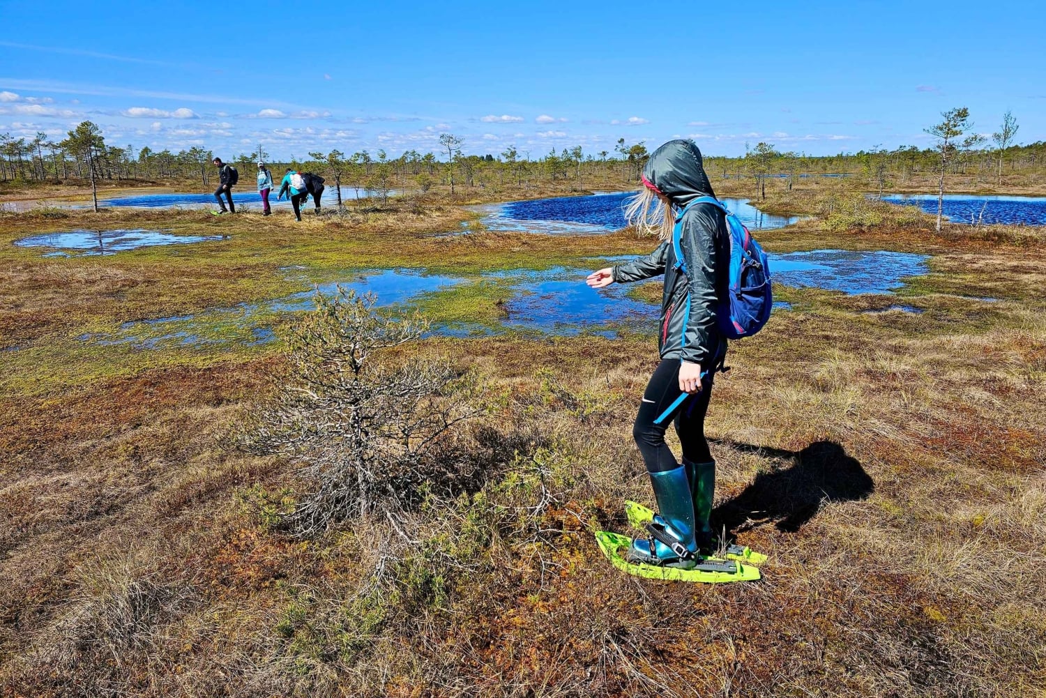 Ķemeri Bogs Adventure: Utforsk våtmarksområder i myrsko