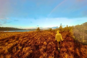 Ķemeri Bogs Adventure: Explore Wetlands In Bog Shoes