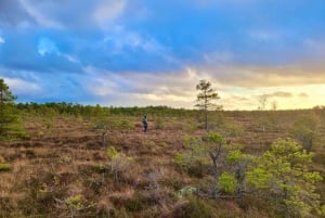 Ķemeri Bogs Adventure: Explore Wetlands In Bog Shoes