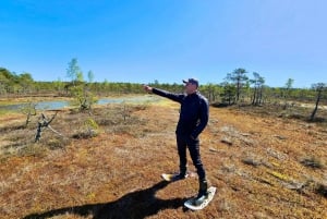 Ķemeri Bogs Adventure: Explore Wetlands In Bog Shoes