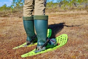 Ķemeri Bogs Adventure: Explore Wetlands In Bog Shoes