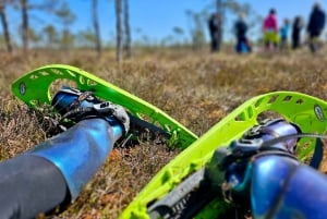 Ķemeri Bogs Adventure: Explore Wetlands In Bog Shoes