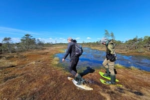 Ķemeri Bogs Adventure: Explore Wetlands In Bog Shoes