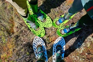 Ķemeri Bogs Adventure: Explore Wetlands In Bog Shoes