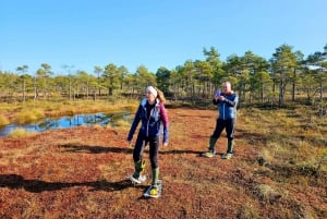 Ķemeri Bogs Adventure: Explore Wetlands In Bog Shoes